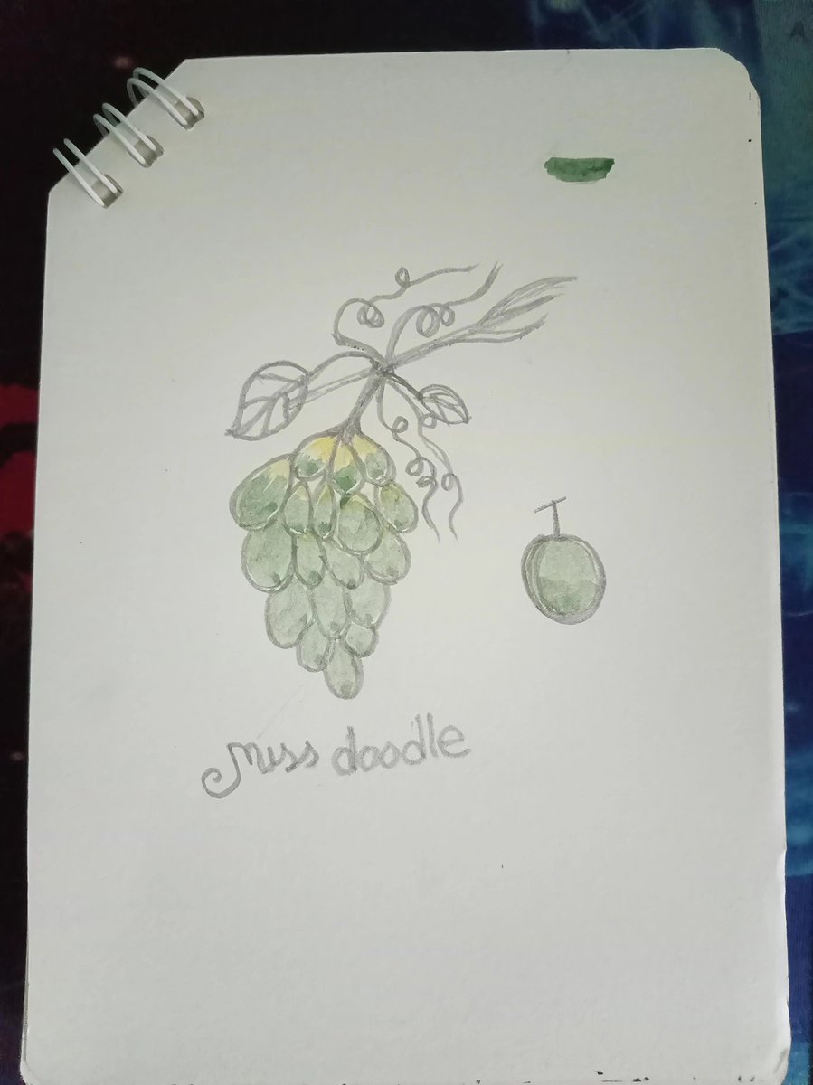 Mss doodle tweet media