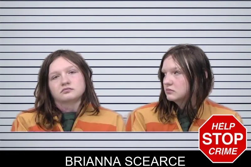 Paulding County Mugshots tweet media