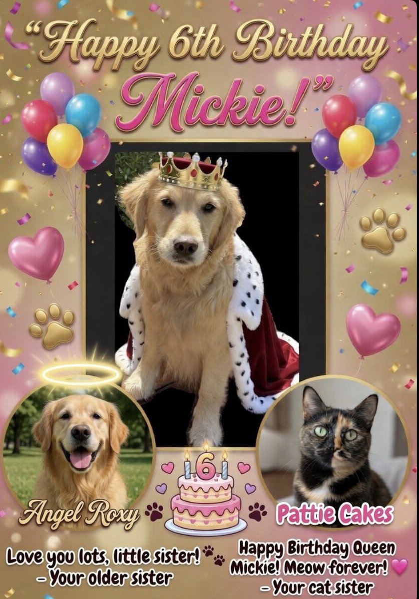🌈ANGEL ROXY😇,&Mickie🐕 & 🐈⬛ Pattie Cakes #ZSHQ tweet media