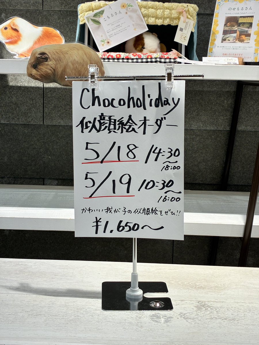 タカハシ ギニピー@モルモットフェス tweet media