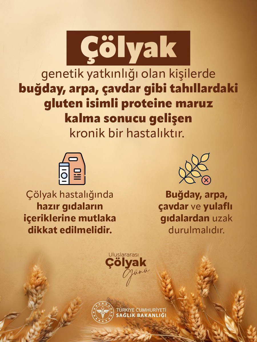 SindirgiH's tweet photo. Çölyak; genetik yatkınlığı olan kişilerde buğday, arpa, çavdar gibi tahıllardaki gluten isimli proteine maruz kalma sonucu gelişen kronik bir hastalıktır.

#UluslararasıÇölyakGünü https://t.co/eggQnOAd6w
