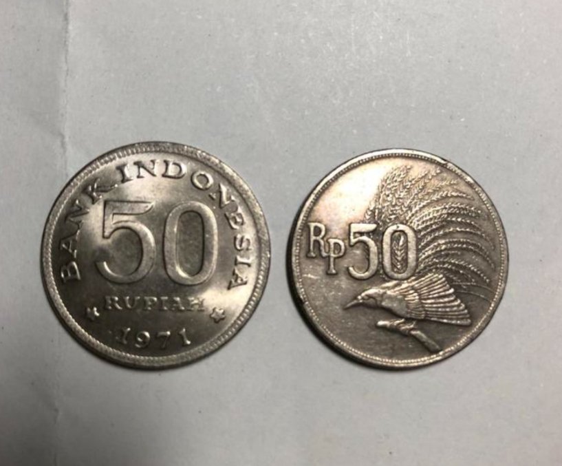 renspeto's tweet photo. Data : ✍️
Tanah di Papua Selatan = Rp 35/m²...Ya Ampun ada orang yg membeli tanah dgn harga yg demikian, informasi dari film PESTA BABI 🐷
Itulah penderitaan rakyat Papua saat ini...😭

#tolakpsnpapua
#tolakmiliterisme
#tolakotoriterianisme
#pestababi
#papuabukantanahkosong https://t.co/ZAKjC1btOK