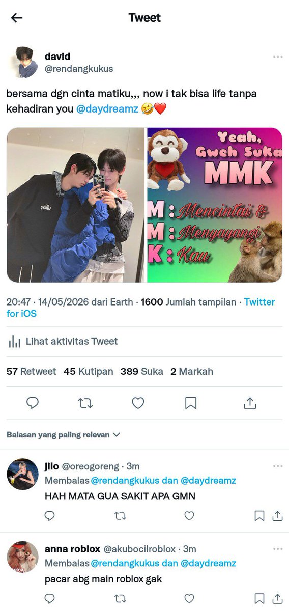 eila tweet media