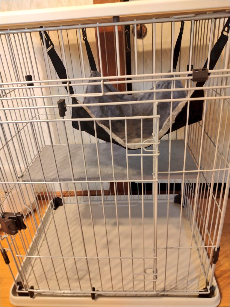 遠藤静代 <みらい動物病院&保護ハウス> tweet media