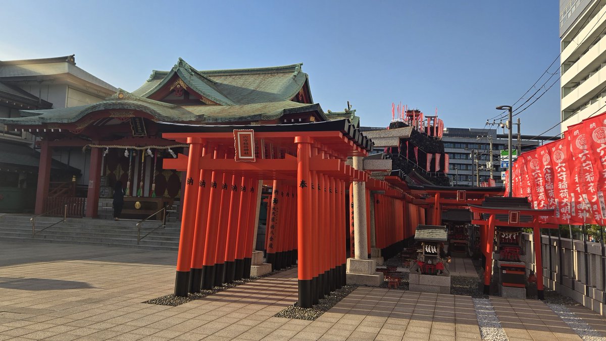 毛玉(初夏毛) tweet media