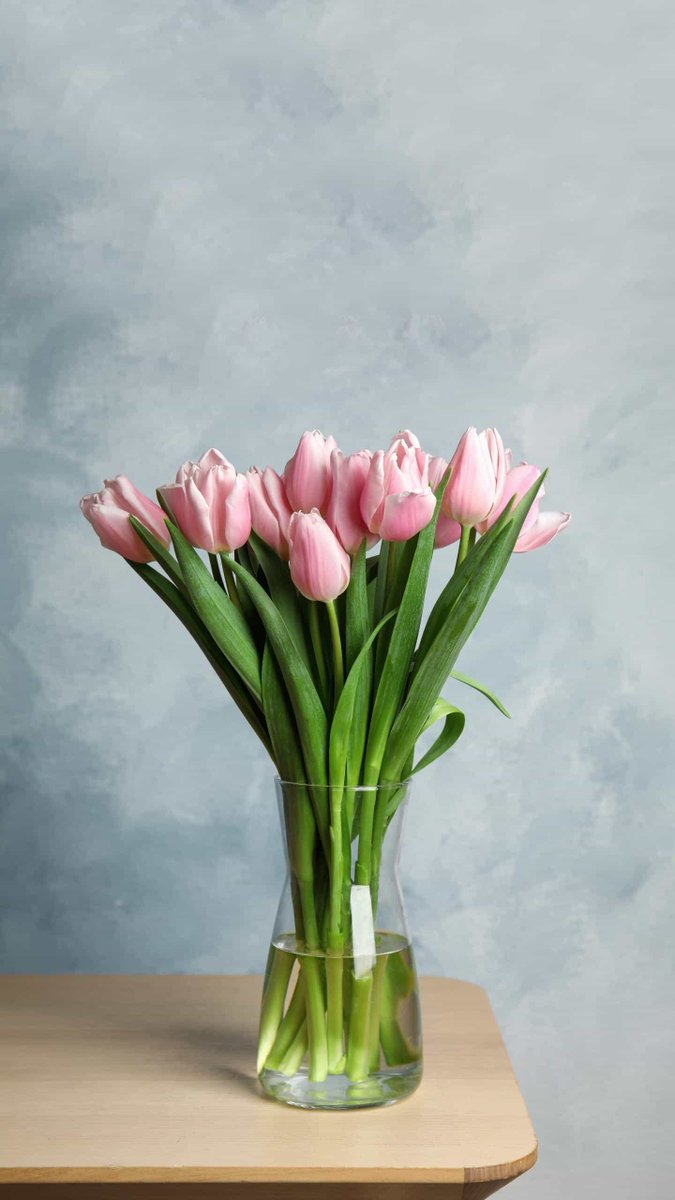 clover_CC tweet media