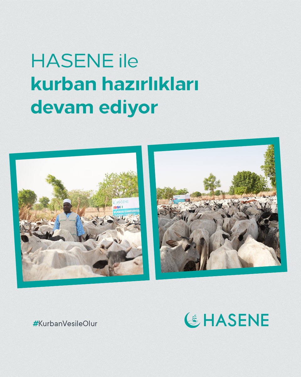 HASENE tweet media