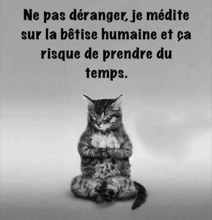 Adea Claude tweet media