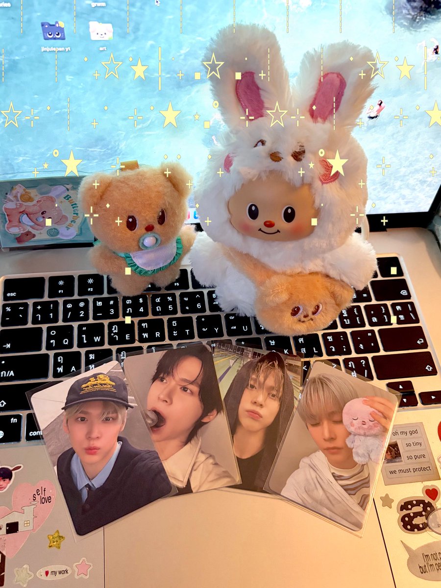 성은 tweet media