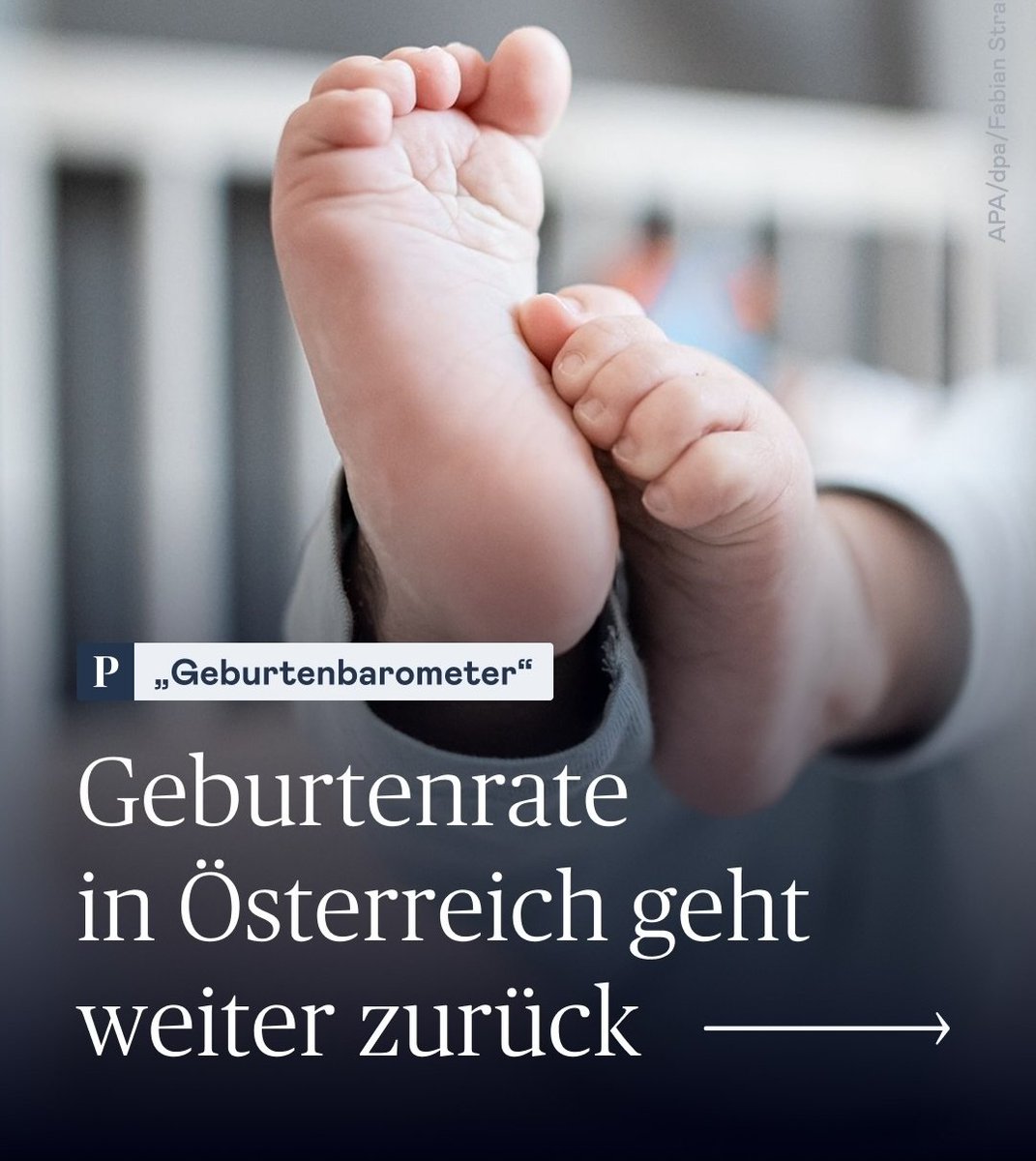 Lukas | 🌐 tweet media