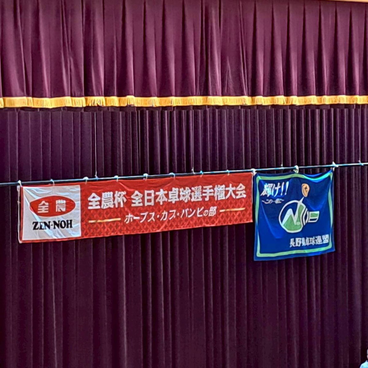 望月 龍大【アンカー卓球スクール塩尻】 tweet media
