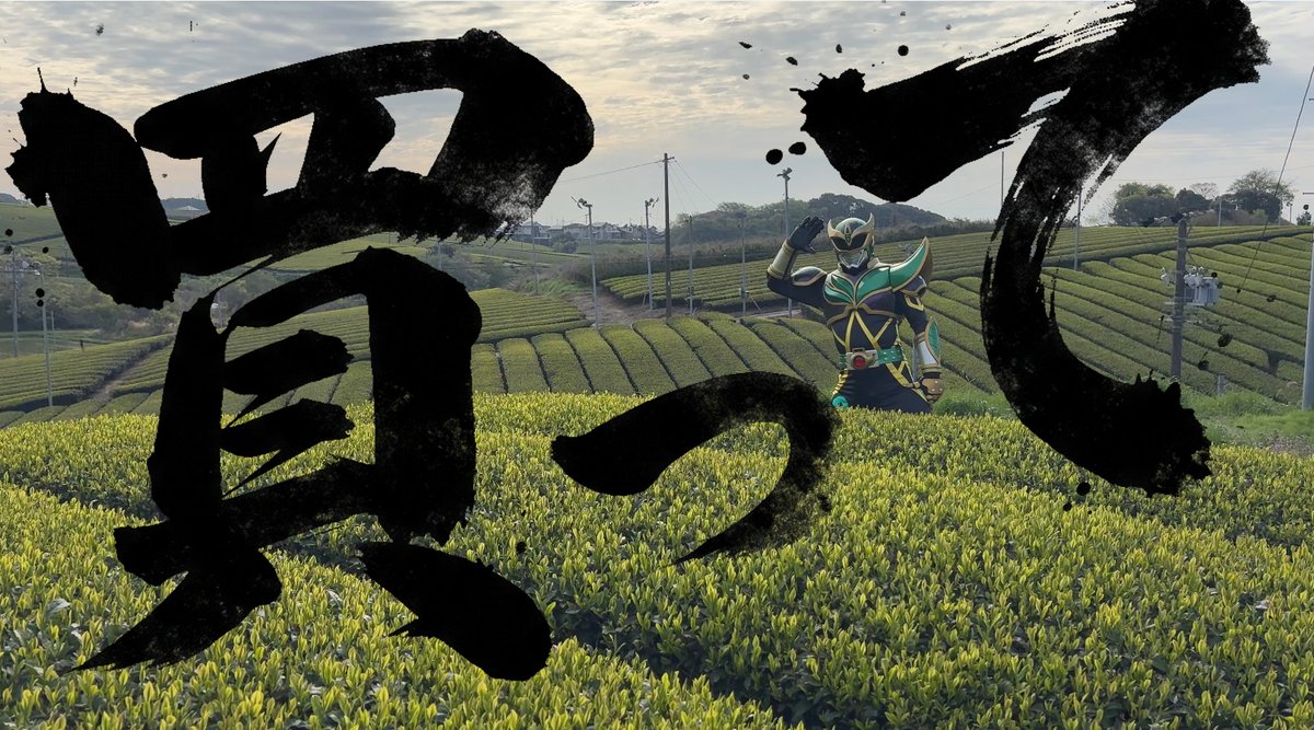 茶神888 tweet media