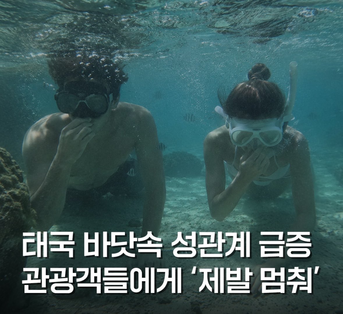 쥐사장 tweet media