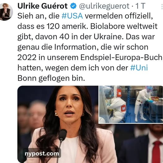 Weiden tweet media