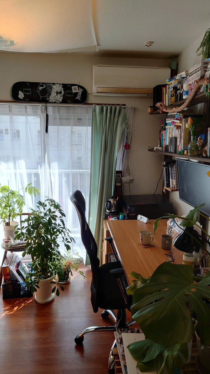 mugi6_00's tweet photo. 学生時代のきらめき、
みたいなものを引き継いでたいなぁ
と思い、大学の部屋の本棚を
今の部屋の折りたたみカウンターに。 https://t.co/Auj03RFrWO