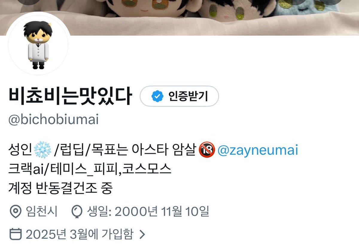 비쵸비는퇴사하고싶다 tweet media
