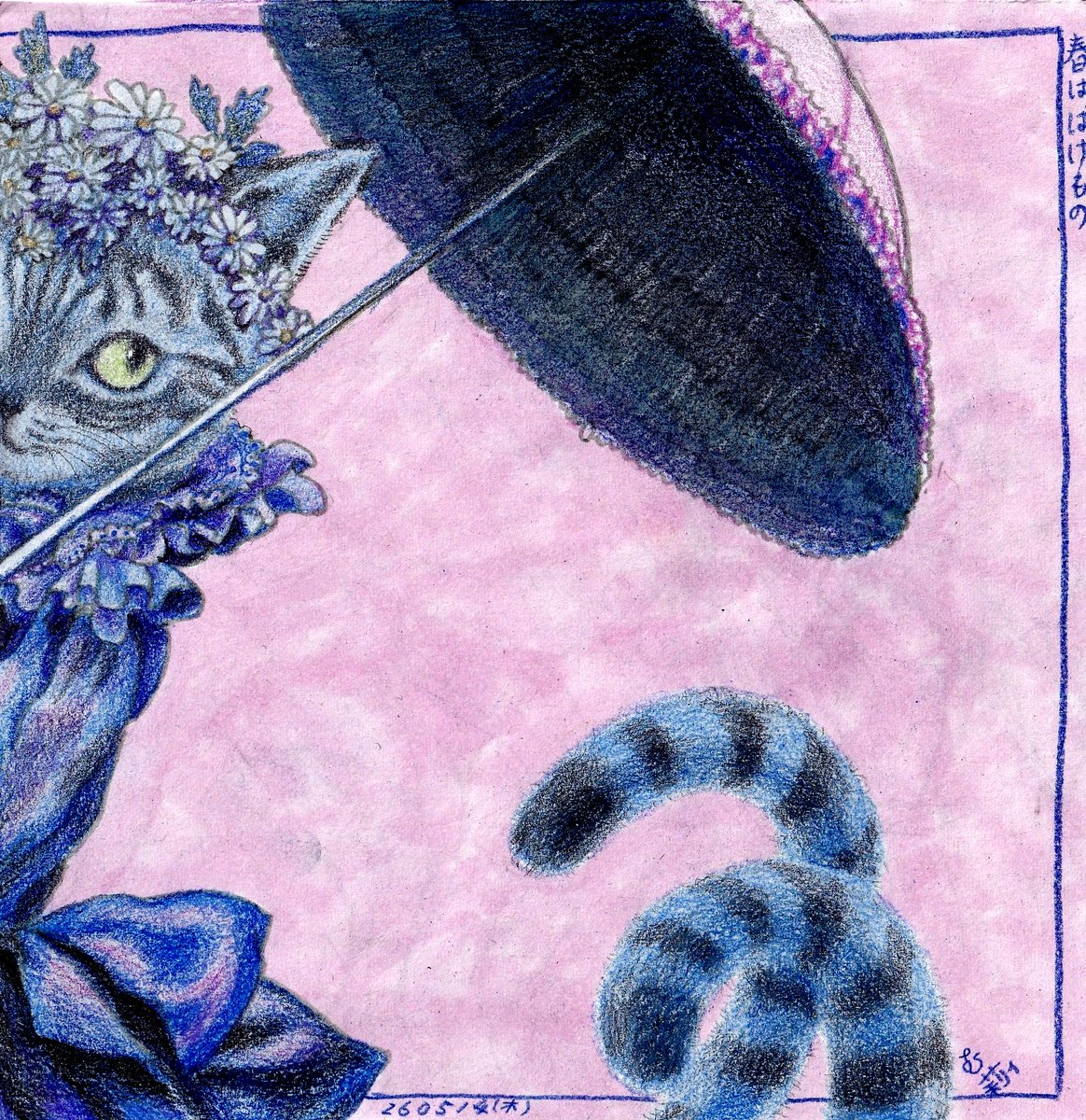 猫又