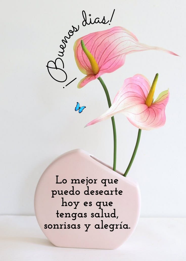 Alba Ruano Torres tweet media