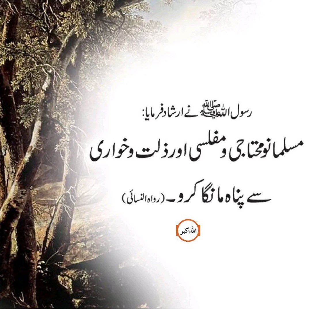 سردار شفیق خان tweet media