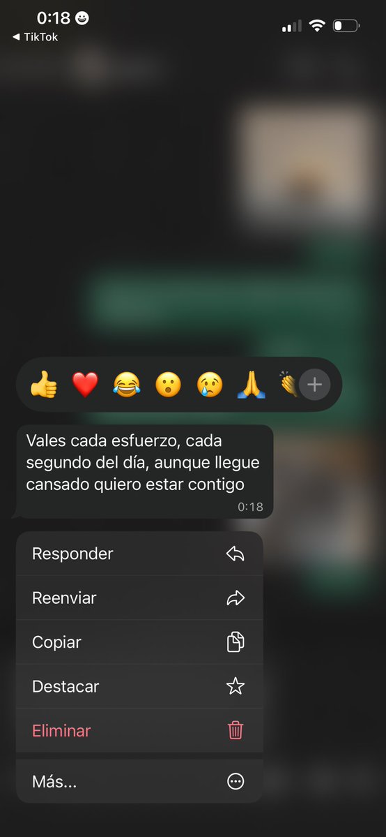 camillu tweet media