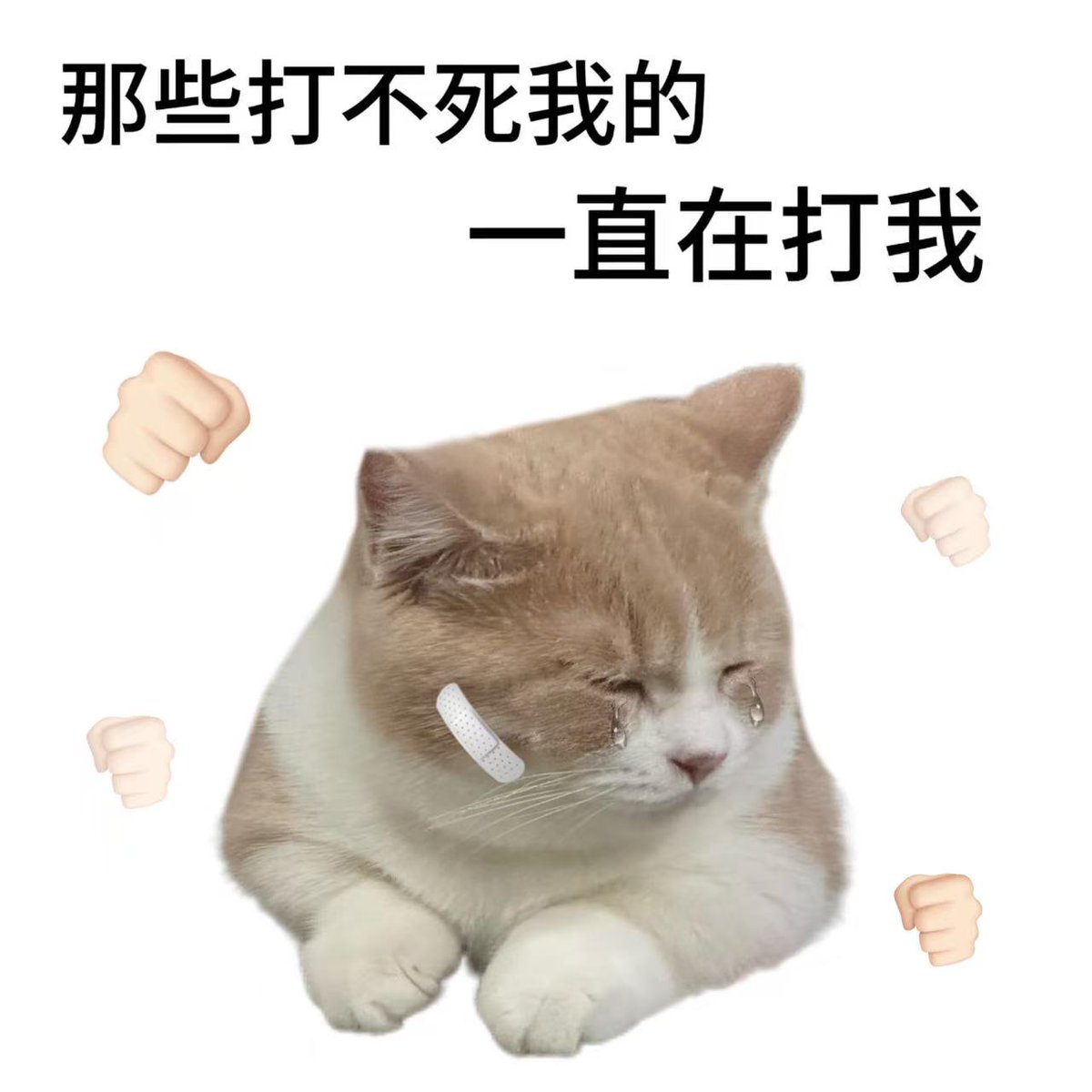 Vvicky绵绵🦅 tweet media