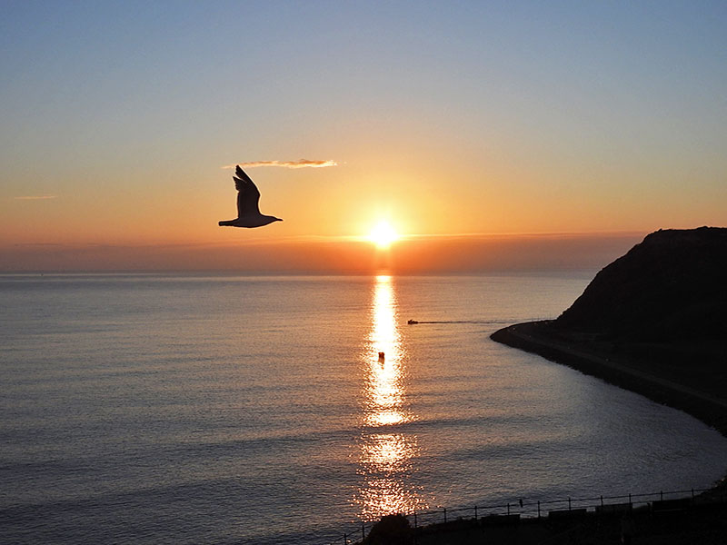 FeelBetter2day's tweet photo. Sunrise  #Scarborough https://t.co/v71PJU5ja2