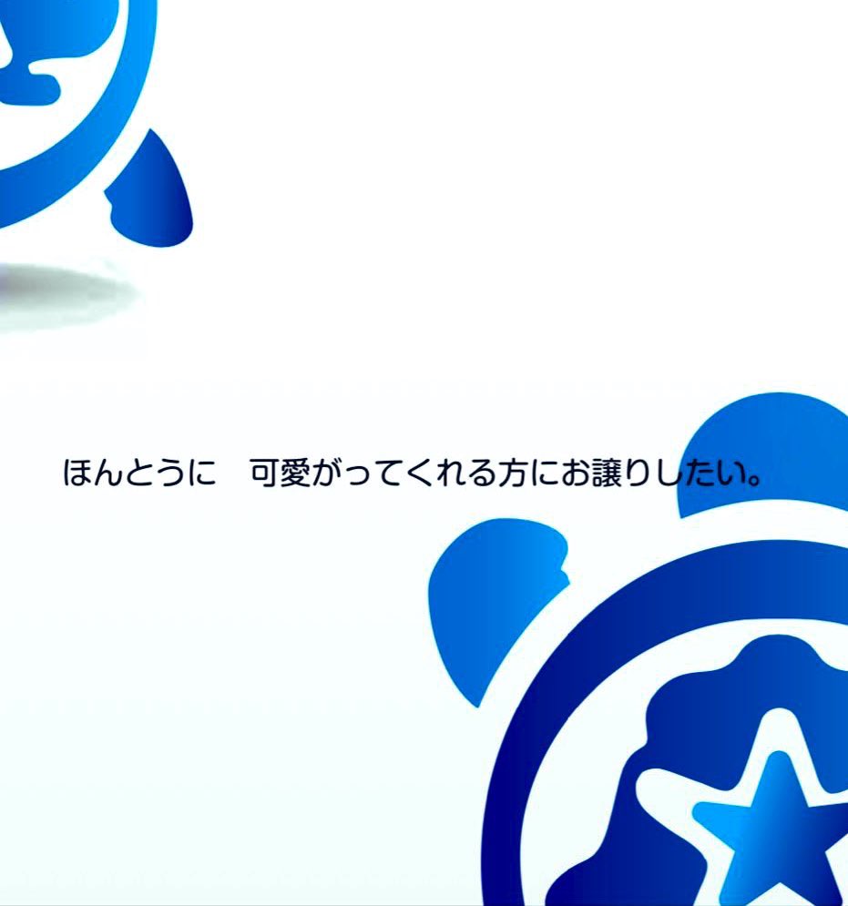 トータスSTARS tweet media