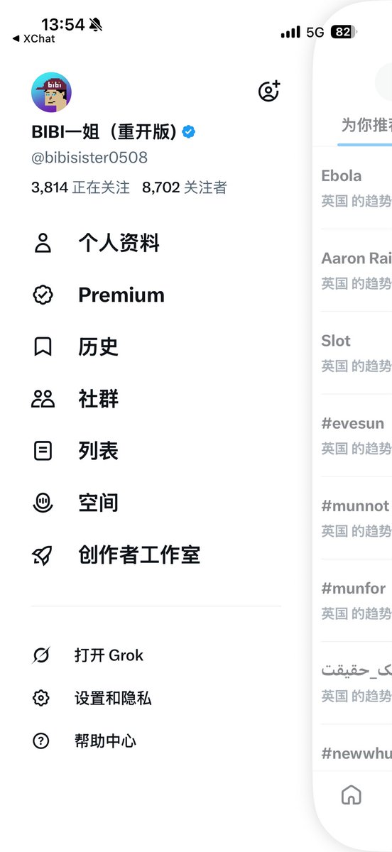BIBI一姐(重开版) tweet media