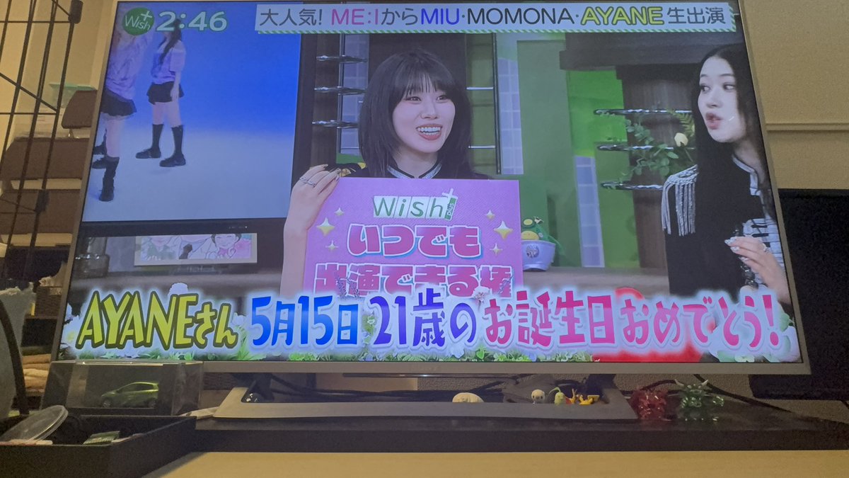 ꒰ঌ ぽこ ໒꒱ tweet media