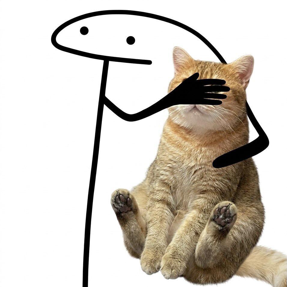 Cat 🐈 tweet media