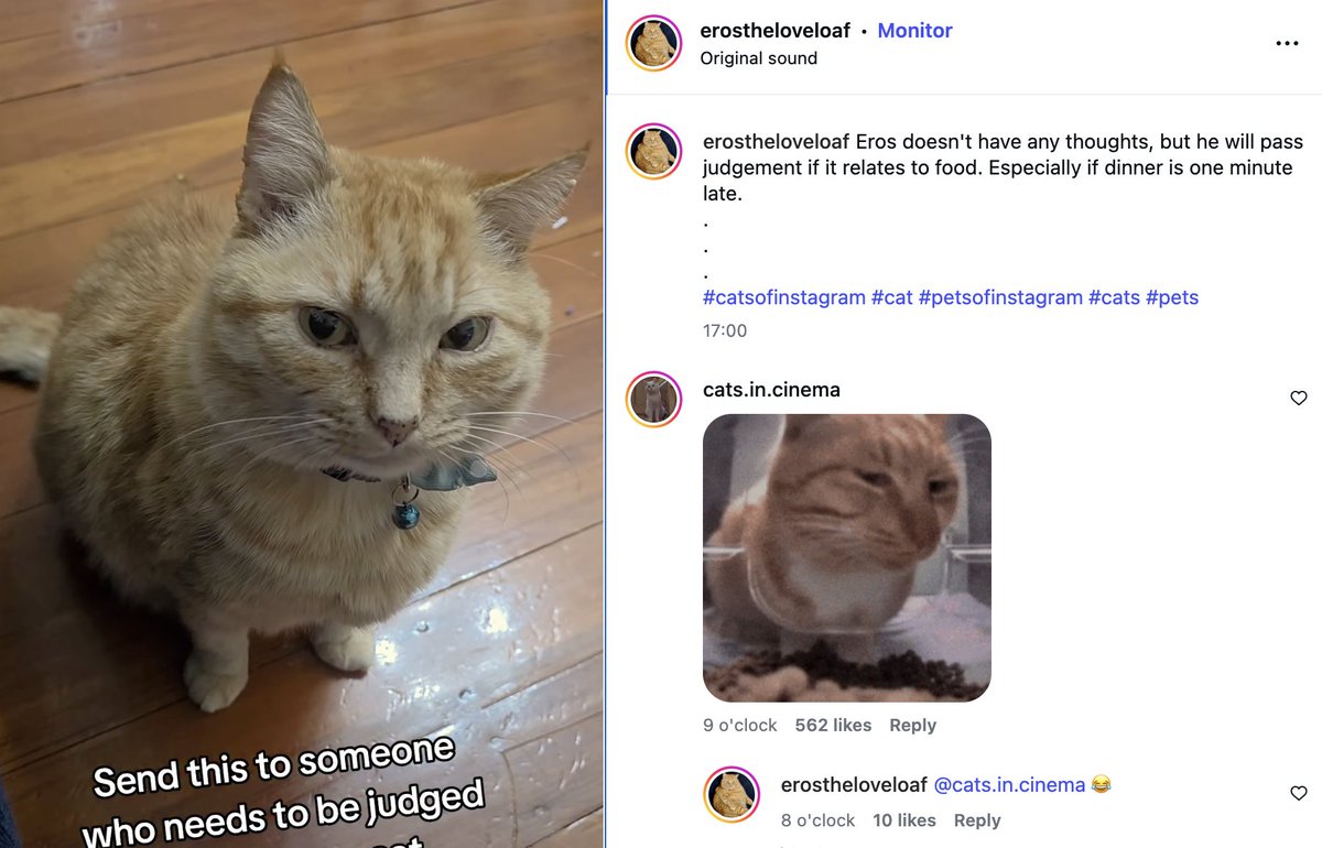 DEV tweet media