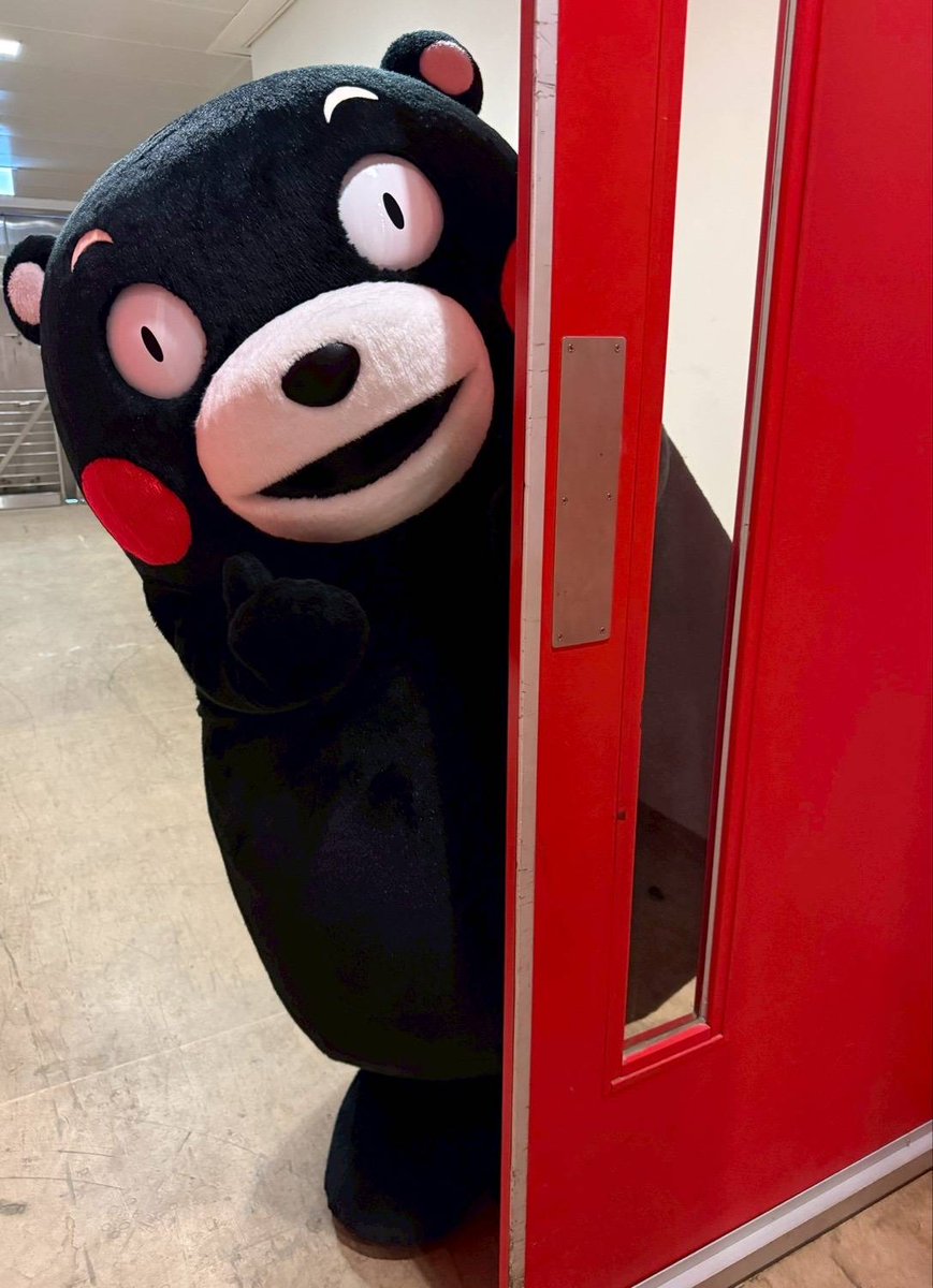 くまモン【公式】 tweet media