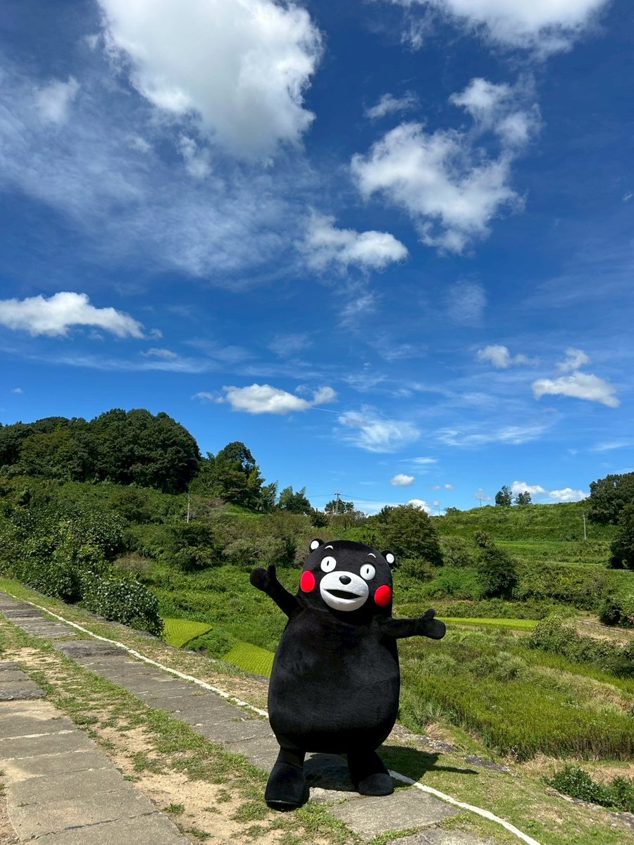 くまモン【公式】 tweet media