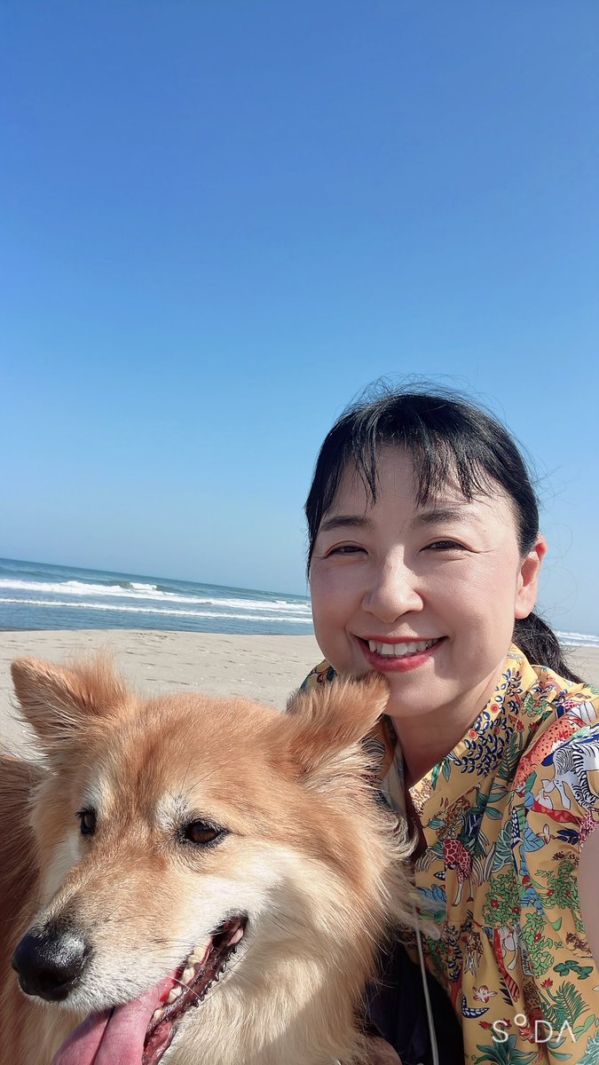 niko（新） tweet media