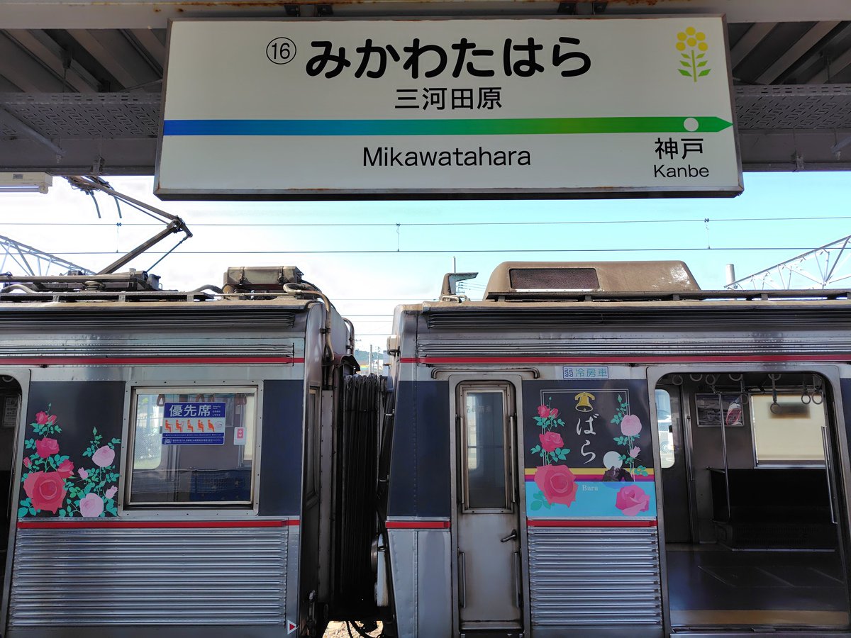 ひでぴょん tweet media