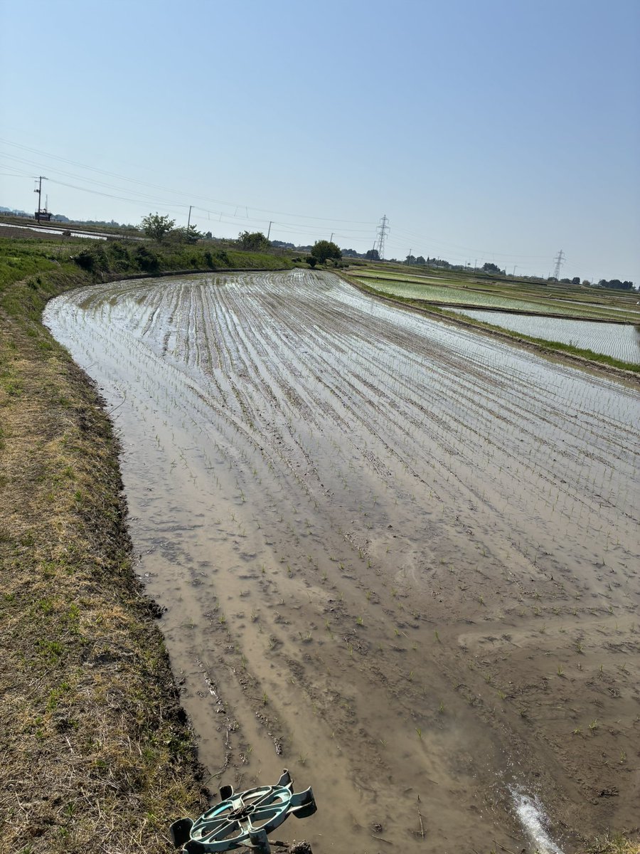 _agripeace's tweet photo. この田んぼの攻略法を教えて！！
畦全部曲がっててとりあえず湾曲しながら植えたけど、どー植えるのが正しいのか… https://t.co/xBnPHcjGmn