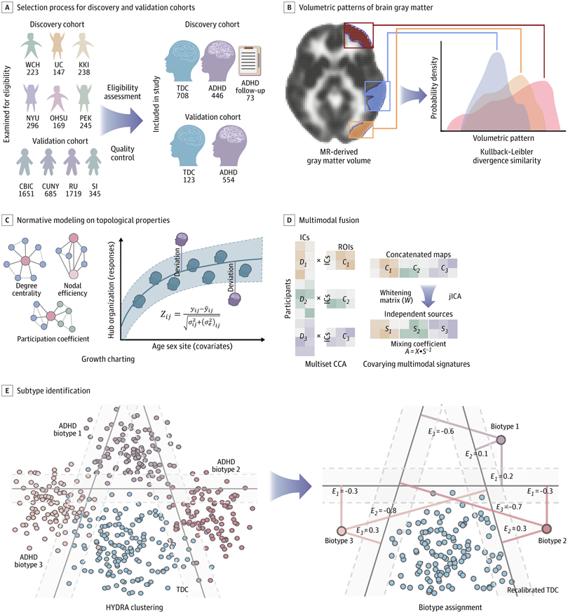 JAMAPsych's tweet photo. Normative modeling of morphometric similarity networks in #ADHD identified three distinct biotypes with unique clinical-neural profiles, supporting more neurobiologically informed stratification for ADHD management. https://t.co/M2NqmzshHs https://t.co/I8tEr85zRi