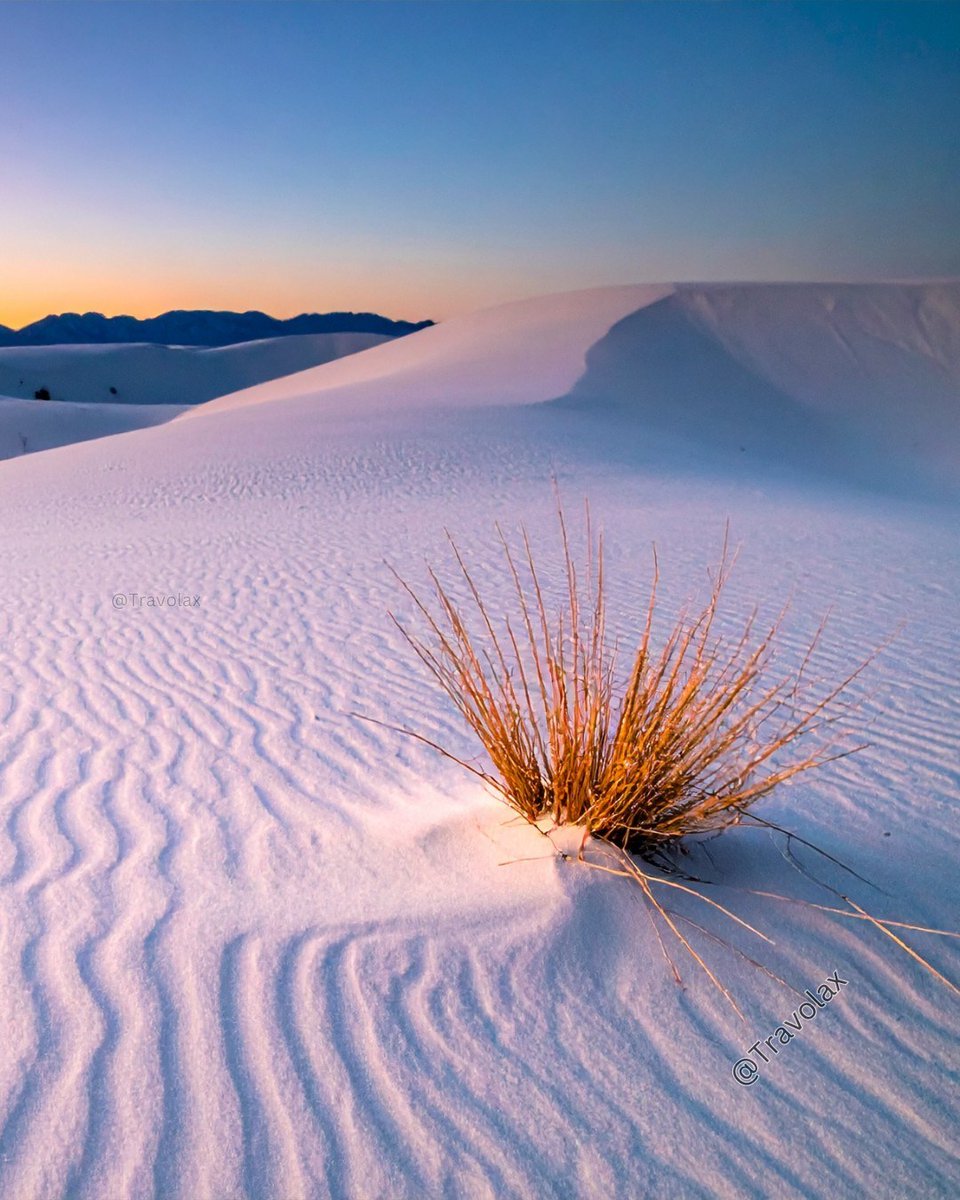 travolax's tweet photo. White Sands National Park looks edited. It is not. https://t.co/EHJJngz1et