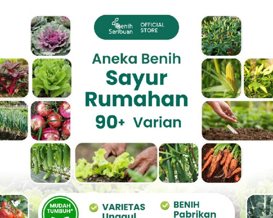 Risma9511's tweet photo. In this economy mending nanam sayur sendiri didepan rumah ngga si 🥴
https://t.co/6owsSSL28u https://t.co/7F2VCXoPUO