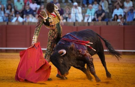 novillerosand's tweet photo. 👏🏻 Mariscal Ruiz pasea una oreja en Sevilla tras una meritoria faena ante el sexto de la tarde, con el que fue prendido y al que enterró el acero en todo lo alto. https://t.co/94UHt3nrDh