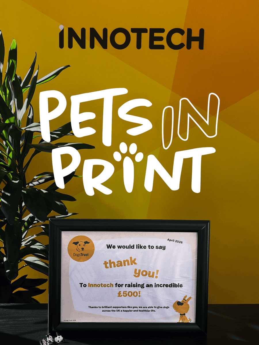Innotech Digital tweet media