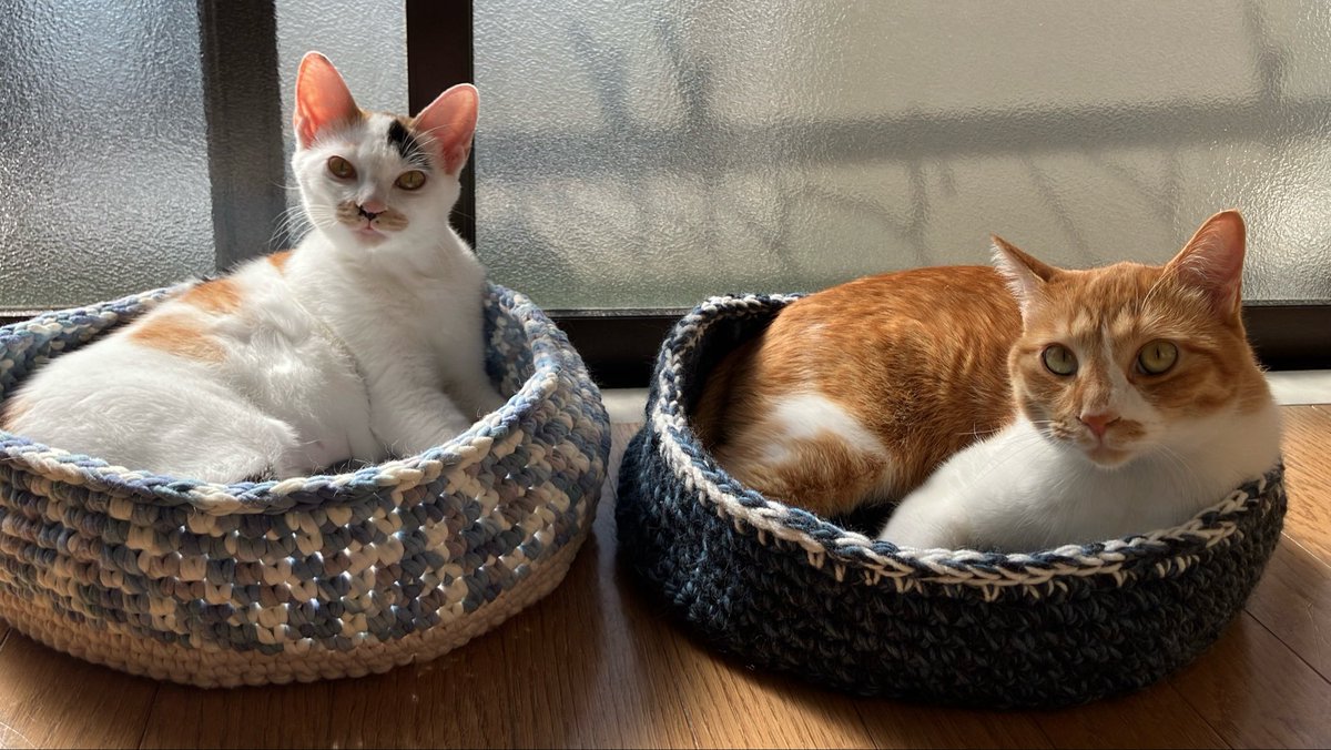 猫 #三毛猫 #茶トラ #籠猫 #ハンドメイド