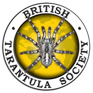 WECevents's tweet photo. Thank you to everyone who attended the British Tarantula Society Exhibition!

What a fantastic day of spiders, specialists, traders &amp; enthusiasts 

We really appreciate your support and hope to see you again soon! https://t.co/kvfYCRaZki