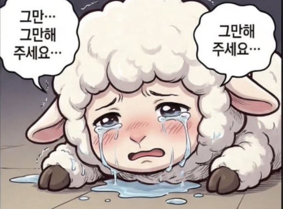 띠둥이 tweet media