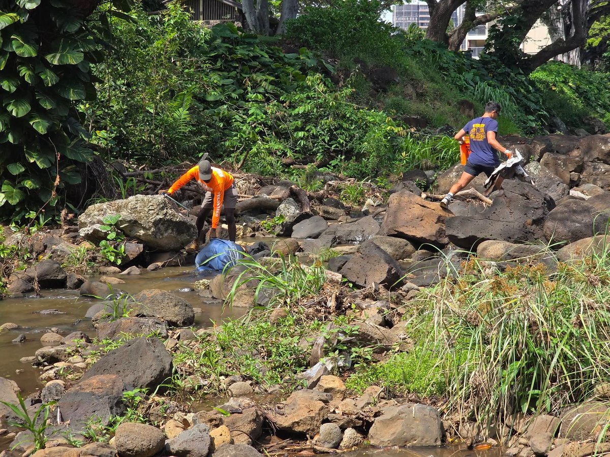 808cleanups tweet media
