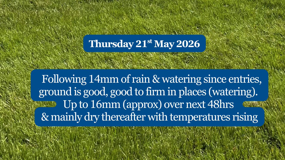 Limerick Races tweet media