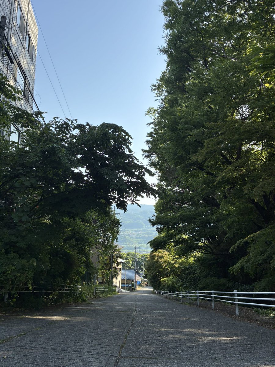 オサムシ tweet media