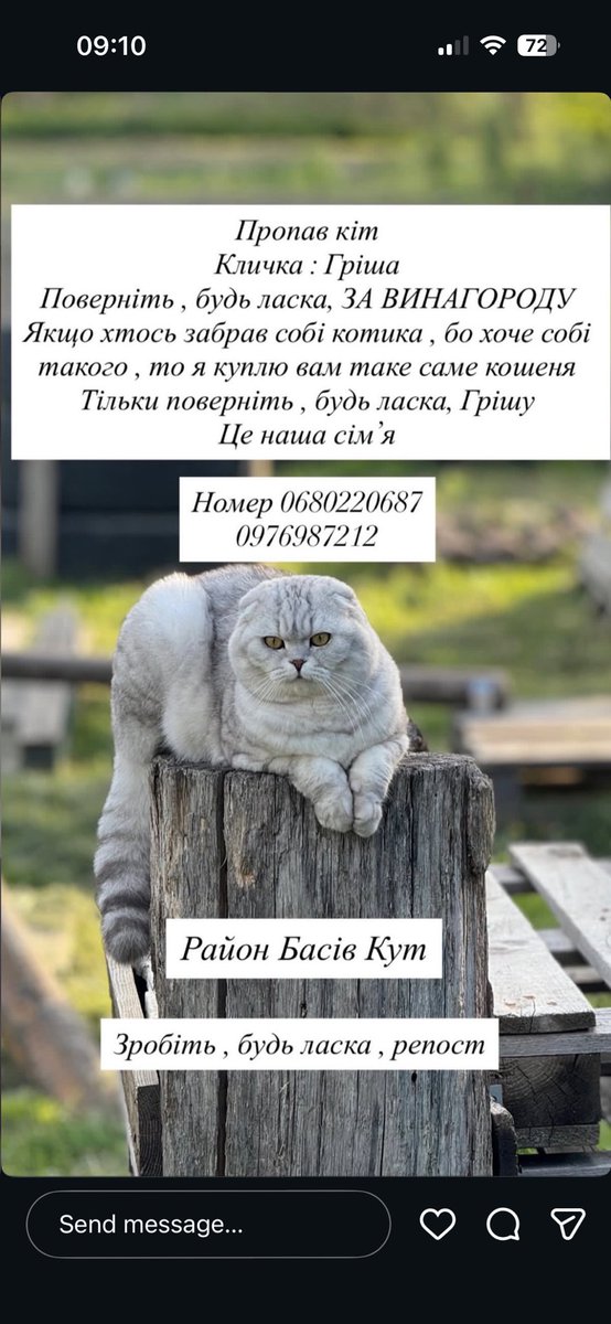 Пасічник. tweet media
