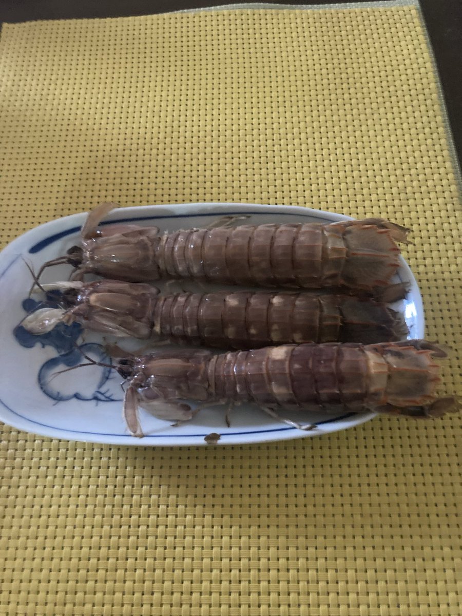 IsseiKonno's tweet photo. 〈日記〉
シャコの季節だ！
うまいんだけど高い！！
今年は値段を見ないで買う事にした。
シャコの剥き方はYouTubeに載ってます。
ぜひ一度食べてください。 https://t.co/8PpQ7Gnilr