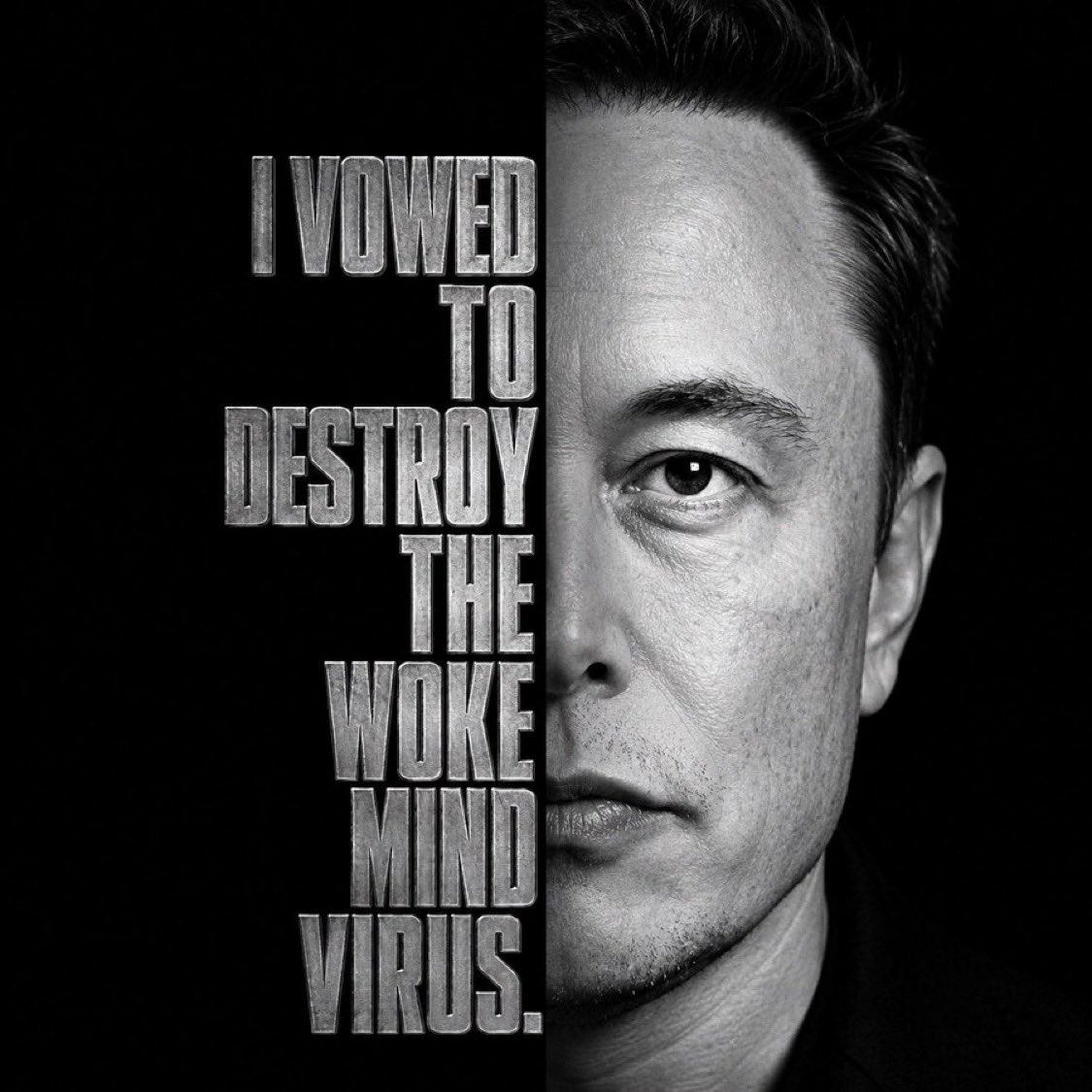 Musk Chronicles tweet media